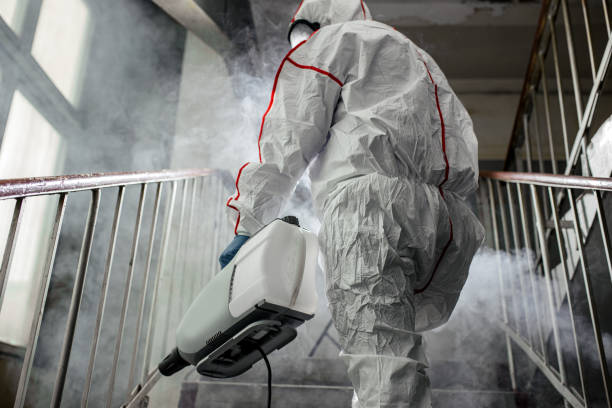 Best Mold Remediation for Healthcare Facilities  in Sardis, MS